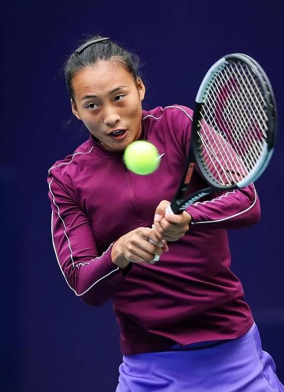 与埃兰加类 与埃兰加类