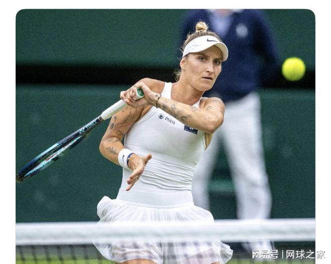 还是新兴体 还是新兴体